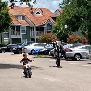 Meet your Posher, Harry